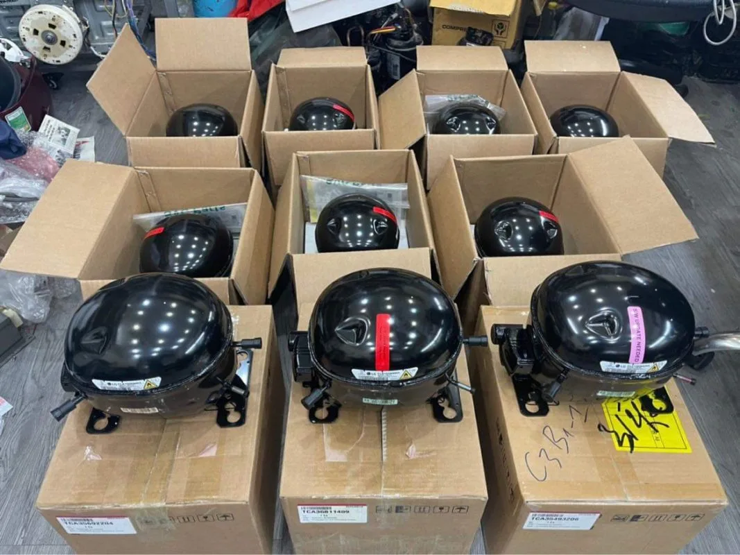 Máy nén (block) và các rơ-le của tủ lạnh LG